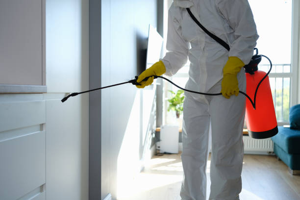 Best Emergency Mold Remediation in Hampden Sydney, VA