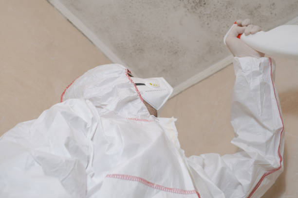Best Preventive Mold Services in Hampden Sydney, VA