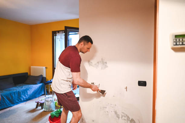  Hampden Sydney, VA Mold Removal Pros